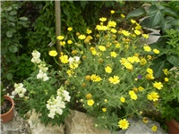 af346648-Picture 6230.jpg